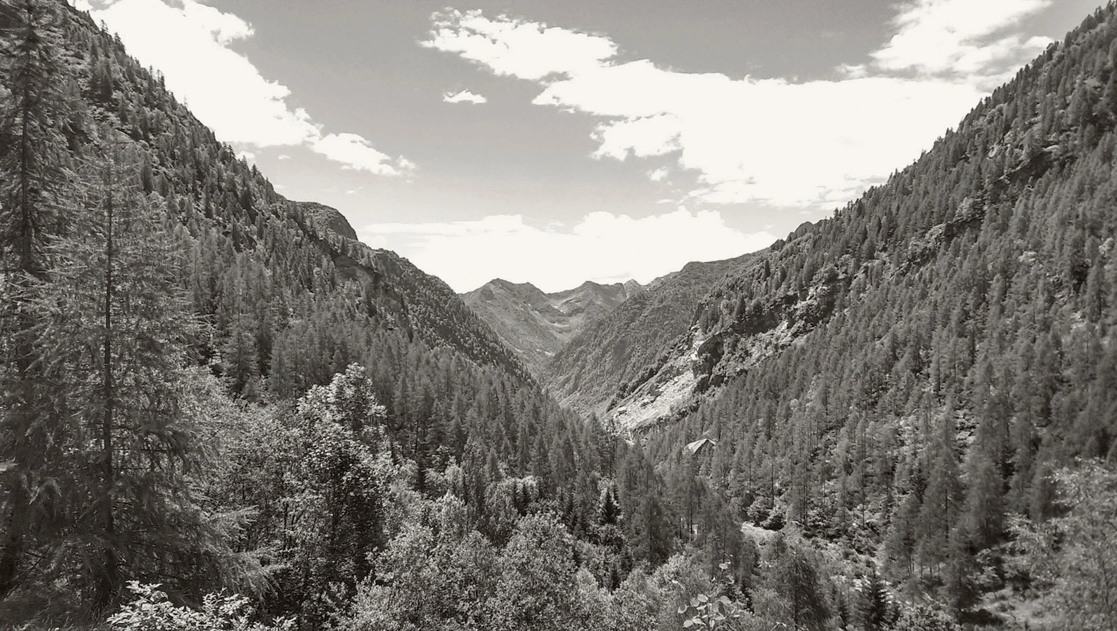 Block Image