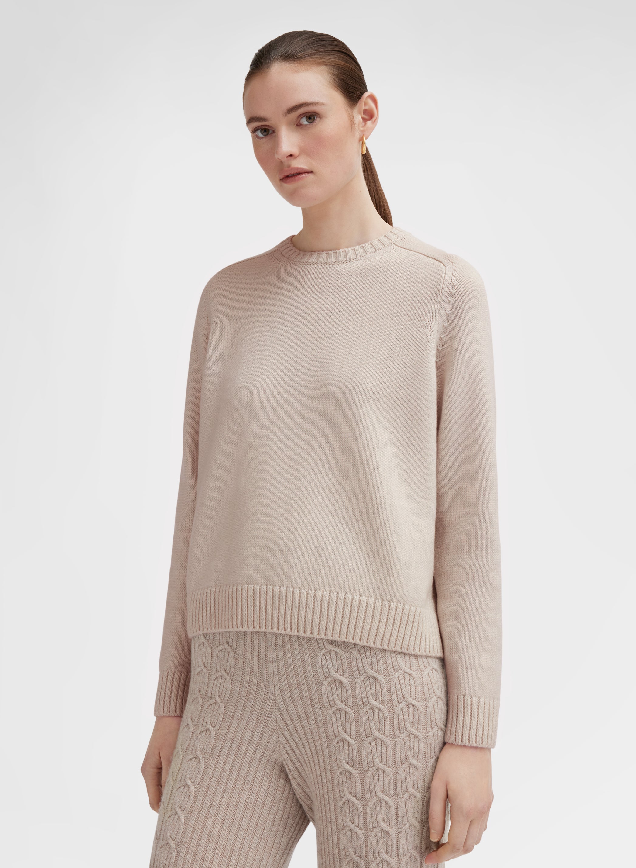 LONG SLEEVE CREWNECK CASHMERE RASATO ALBINO