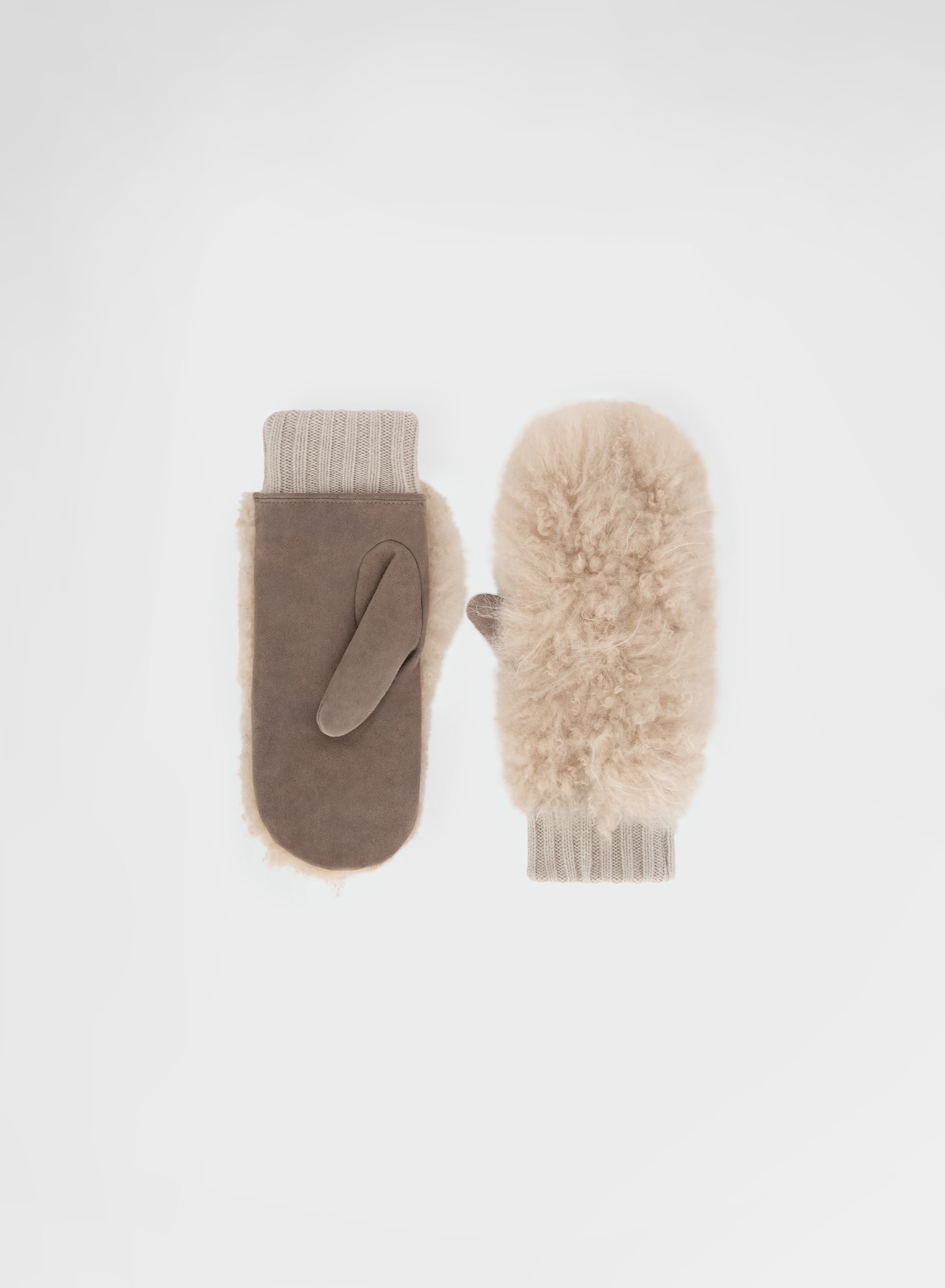 CASHMERE RIB GLOVES CHAMPAGNE